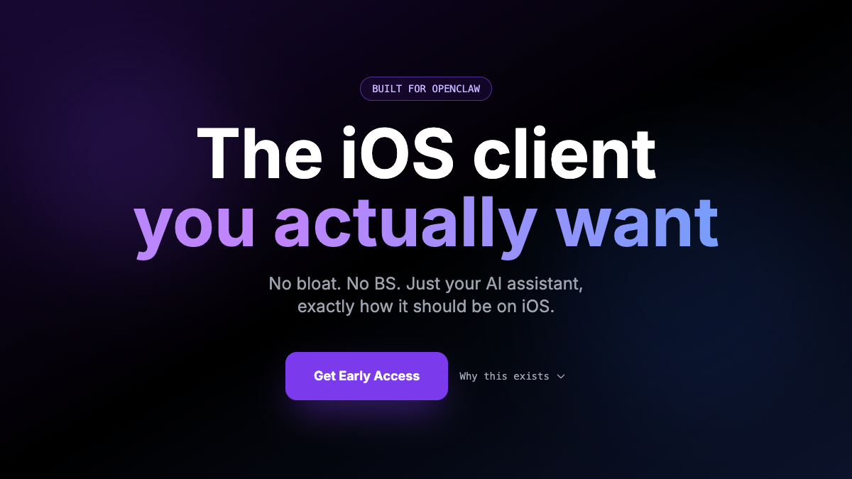 NeuChat website screenshot